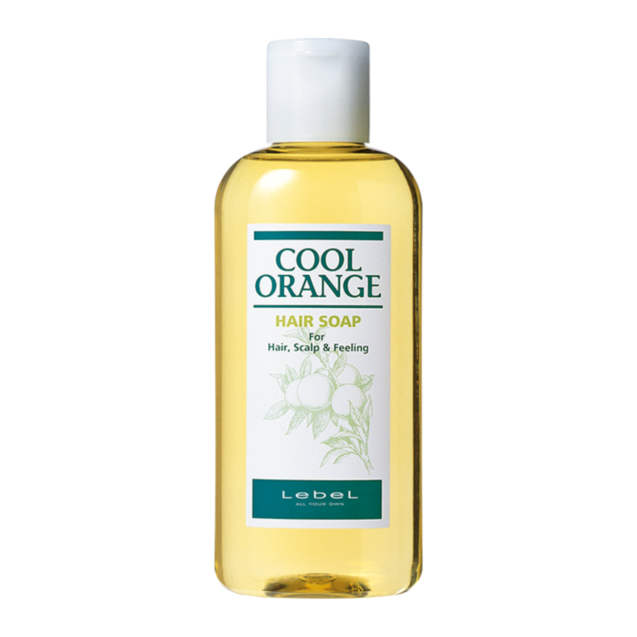 Cool Orange Hair Soap Lebel | Beauty Matters
