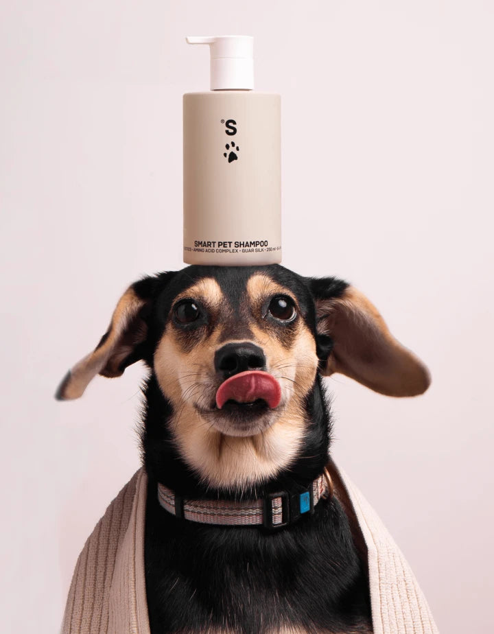 SMART PET SHAMPOO | Beauty Matters